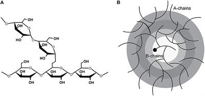 13C MRS Studies of the Control of Hepatic Glycogen Metabolism at High Magnetic Fields